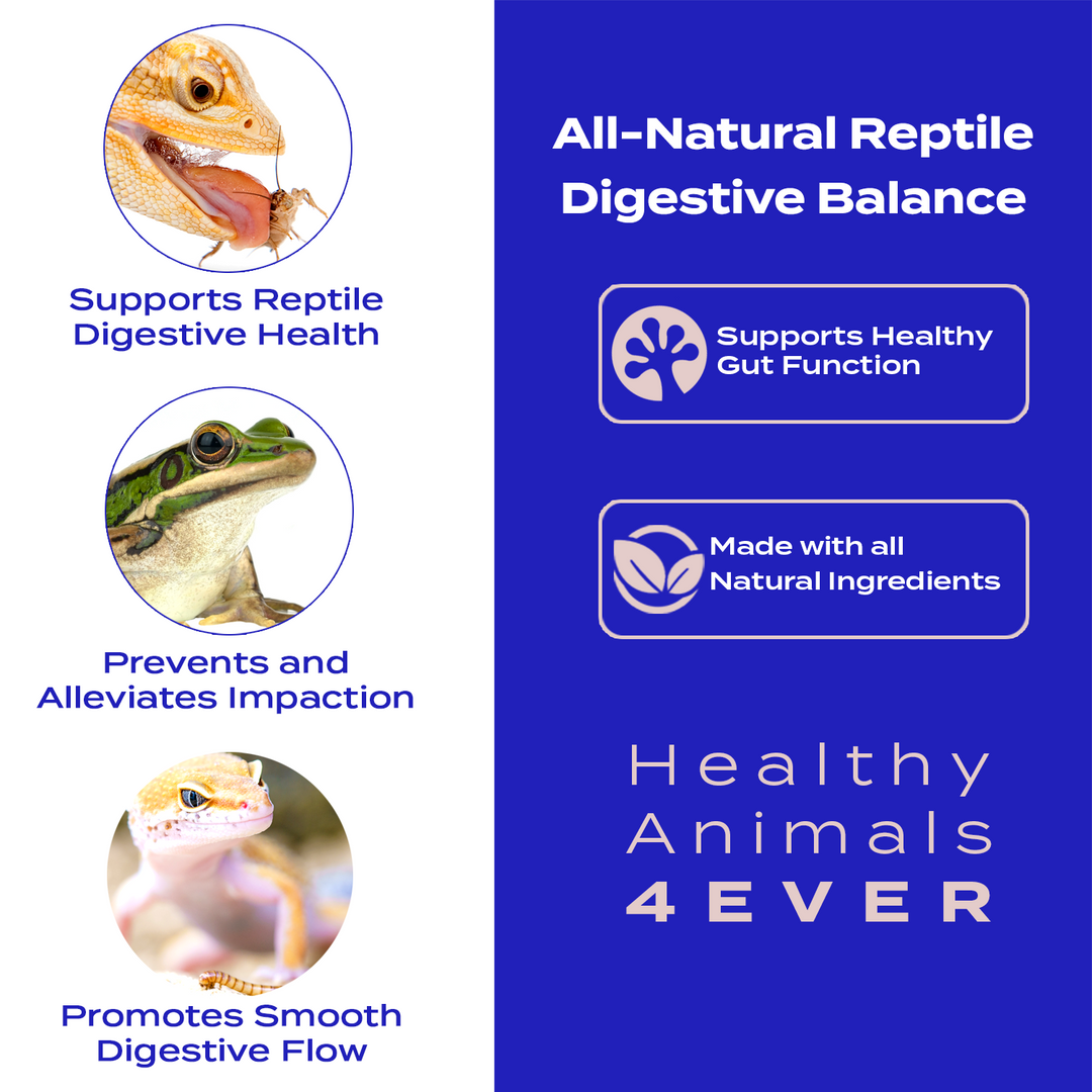 Natural Digestive Balance for Reptiles: Supports Healthy Gut Function Six Pack- Save 50%