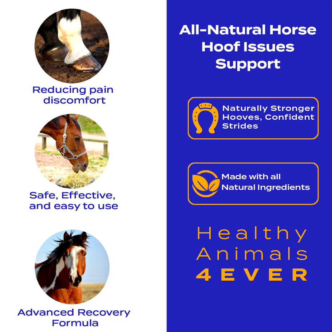 HORSE HOOF SUPPORT Triple Pack- Save 30%