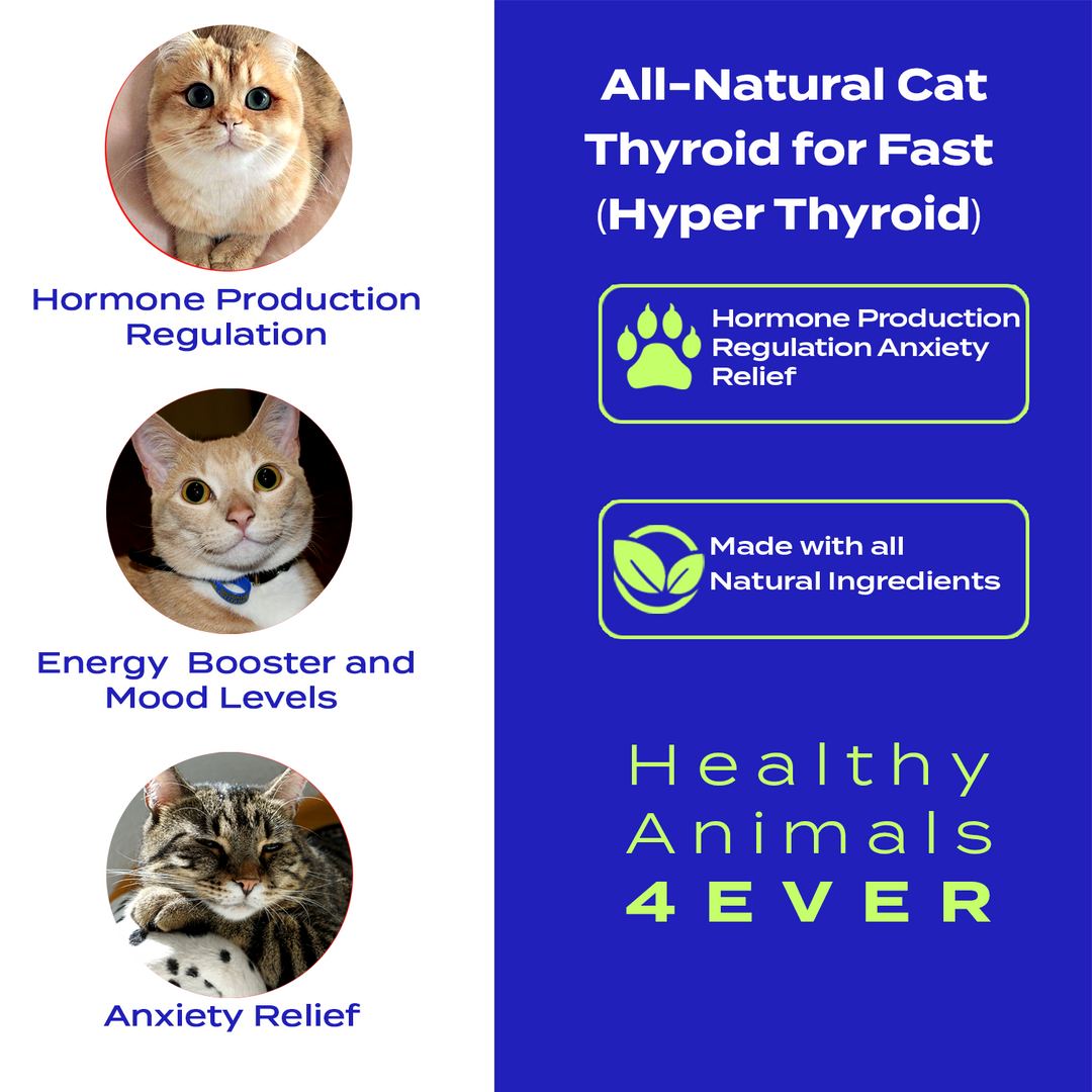 Natural Hyperthyroidism Support Formula for Cats, 300 Pellets, 30-Day Supply