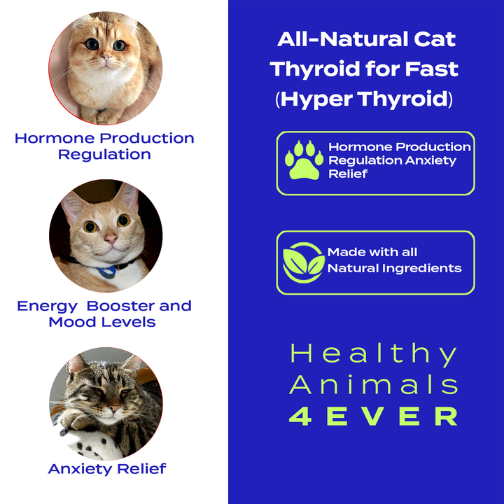 Natural Hyperthyroidism Support Formula for Cats, 300 Pellets, 30-Day Supply