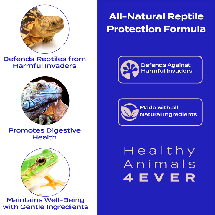 Reptile Protection Formula - Defends Against Harmful Invaders Six Pack- Save 50%