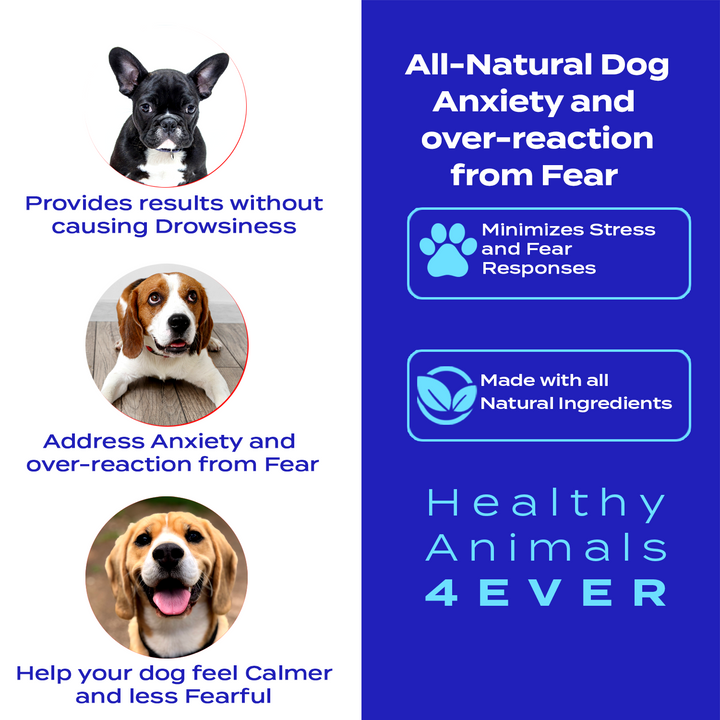 Anxiety and Over-Reaction from Fear Formula for Dogs, 300 Pellets, 30-Day Supply