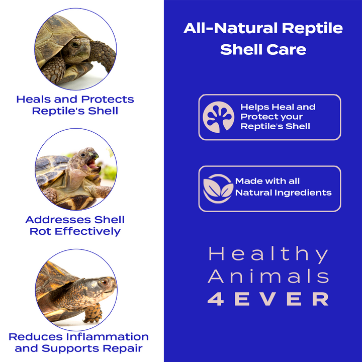 Reptile Shell Care