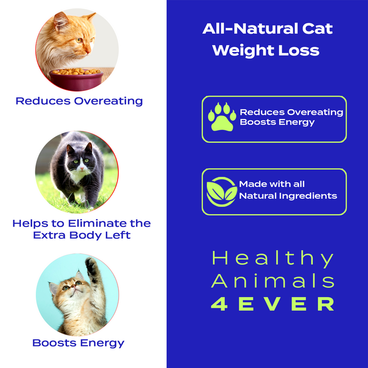 Weight Loss Formula for Cats,  Triple Pack- Save 30%