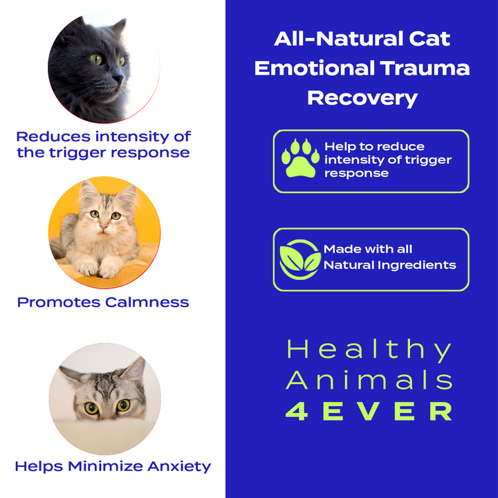 Emotional Trauma Recovery - Cats