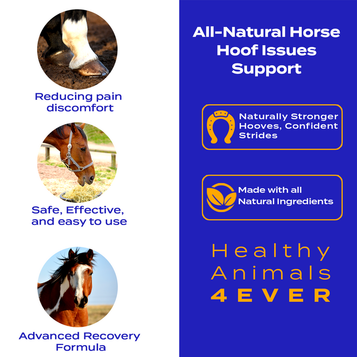 HORSE HOOF SUPPORT