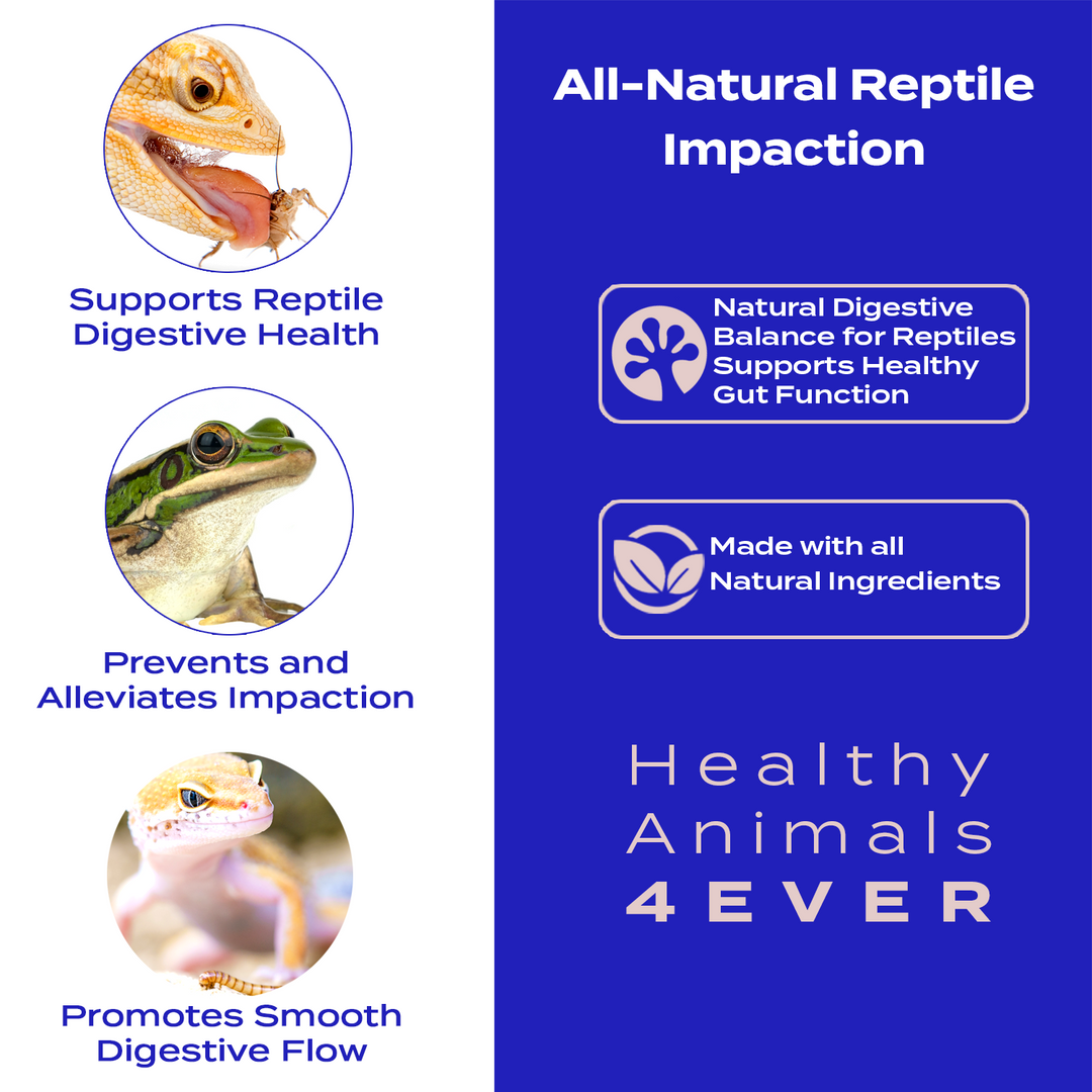 Natural Digestive Balance for Reptiles: Supports Healthy Gut Function