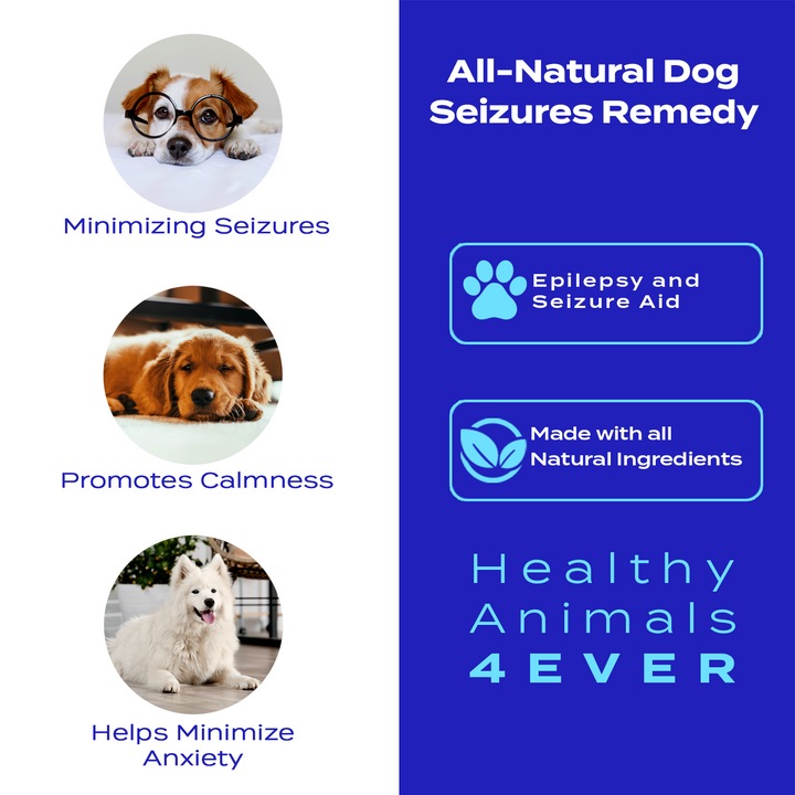 Seizures - Dogs  Six Pack- Save 50%