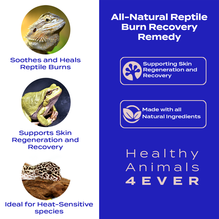 HeatShield: Natural Reptile Burn Recovery Remedy