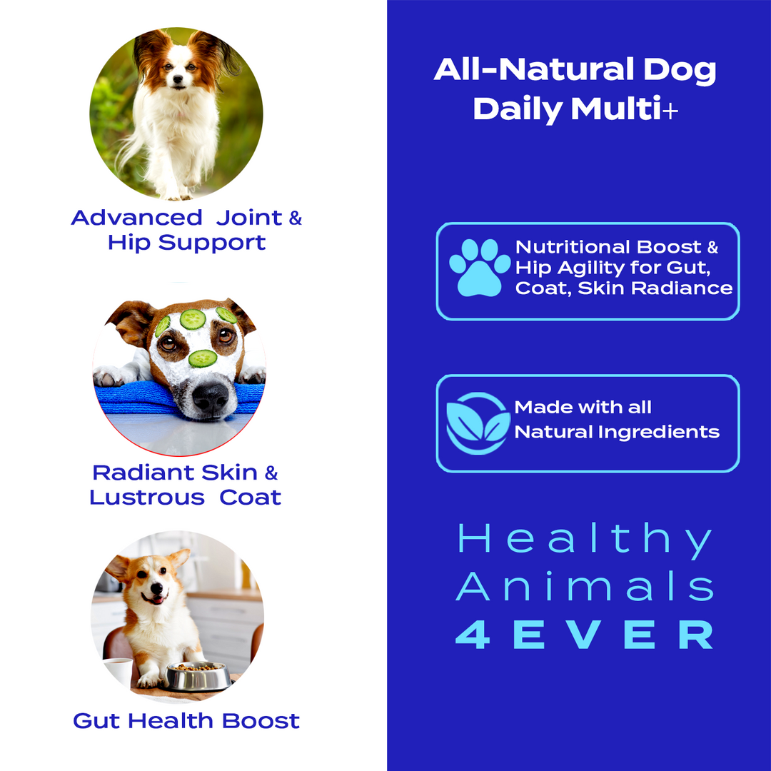 HEALTHY ANIMALS 4EVER - DAILY MULTI FOR DOGS