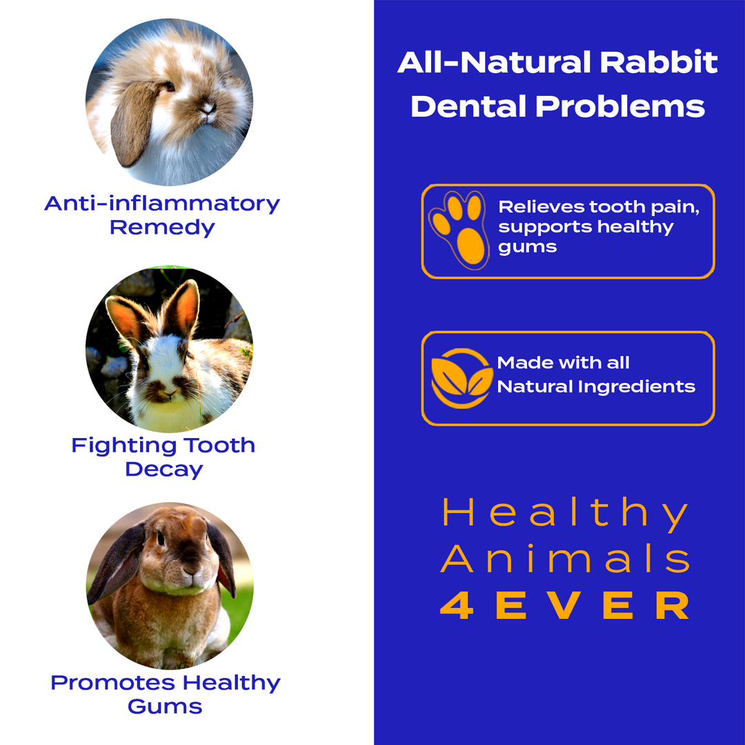 Dental Problems Remedy for Rabbits  Triple Pack- Save 30%