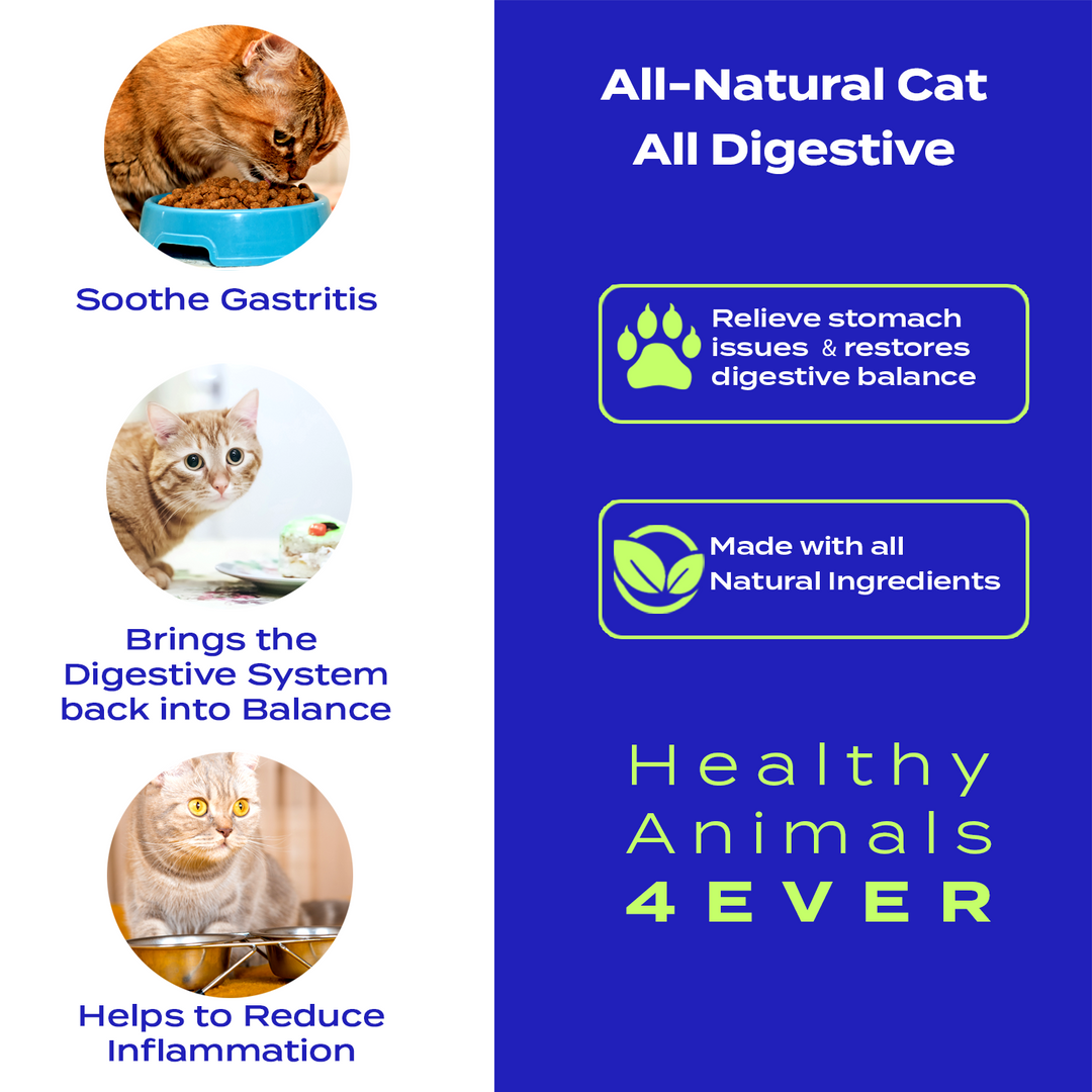 All Digestive - Cats Triple Pack- Save 30%