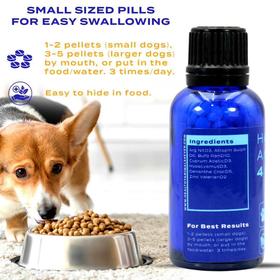 Seizures - Dogs Triple Pack- Save 30%