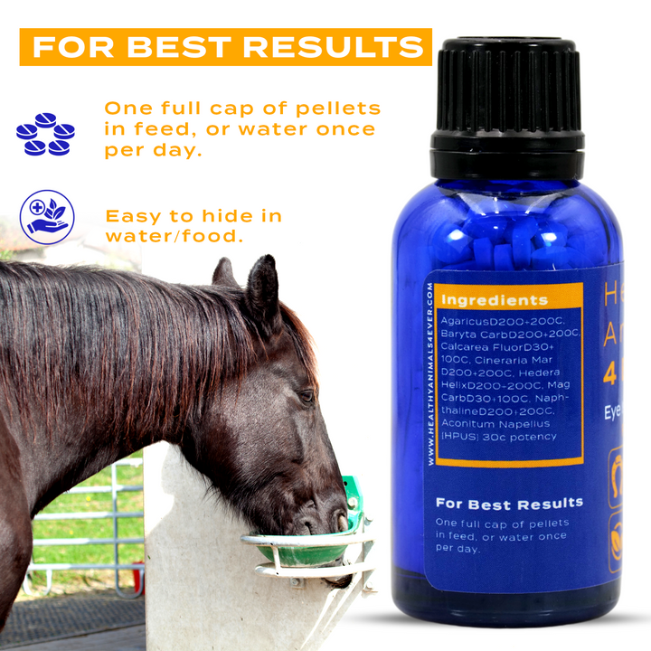 HORSE EYE HEALTH SUPPORT Six Pack- Save 50%