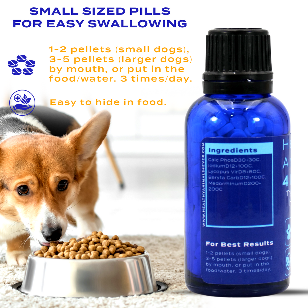 Natural Hypothyroidism Support Formula for Dogs 300 Pellets 30 Day S Healthy Animals 4Ever