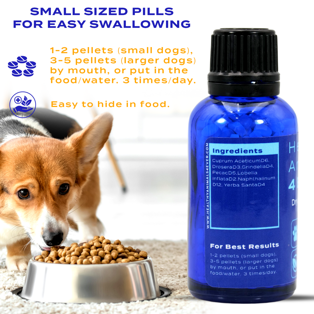 Dry or Wet Cough Formula for Dogs  Triple Pack- Save 30%