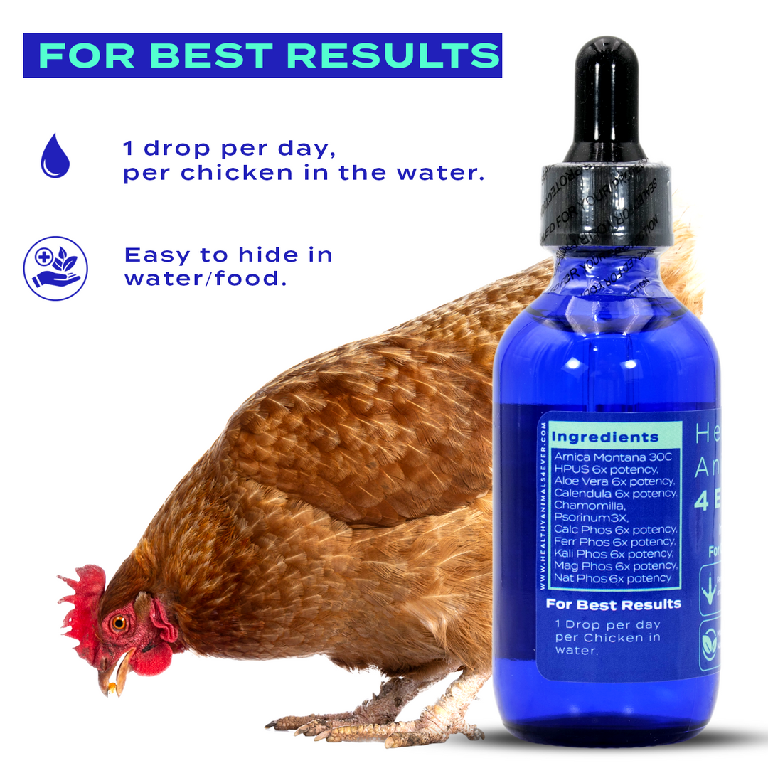 HEALTHYANIMALS4EVER ALL-NATURAL CHICKEN INJURY SUPPORT (Liquid)