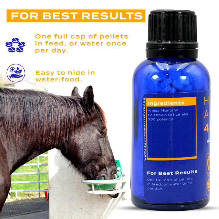 HORSE WOUNDS SUPPORT Six Pack- Save 50%