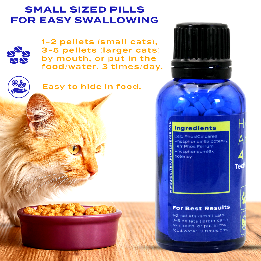 Teething Relief & Calming Formula for Cats, 300 Pellets, Six Pack- Save 50%