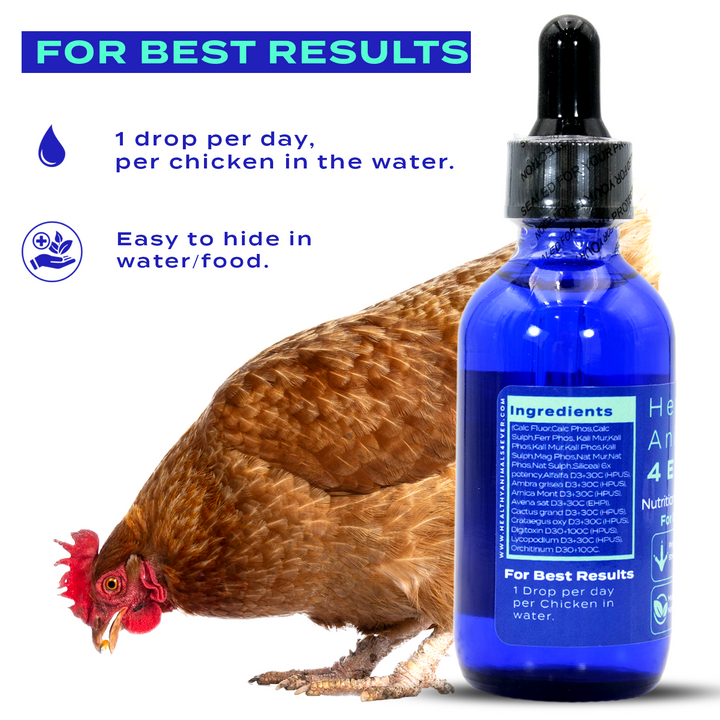 HEALTHYANIMALS4EVER ALL-NATURAL CHICKEN NUTRITIONAL DEFICIENCY SUPPLEMENT (Liquid) Six Pack- Save 50%