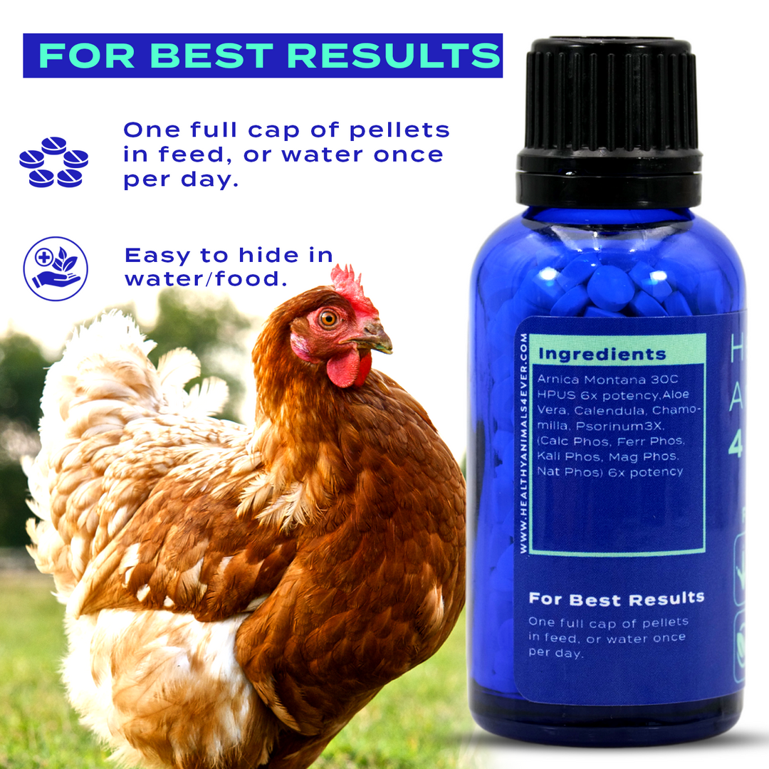 HEALTHYANIMALS4EVER ALL-NATURAL CHICKEN INJURY SUPPORT  Six Pack- Save 50%