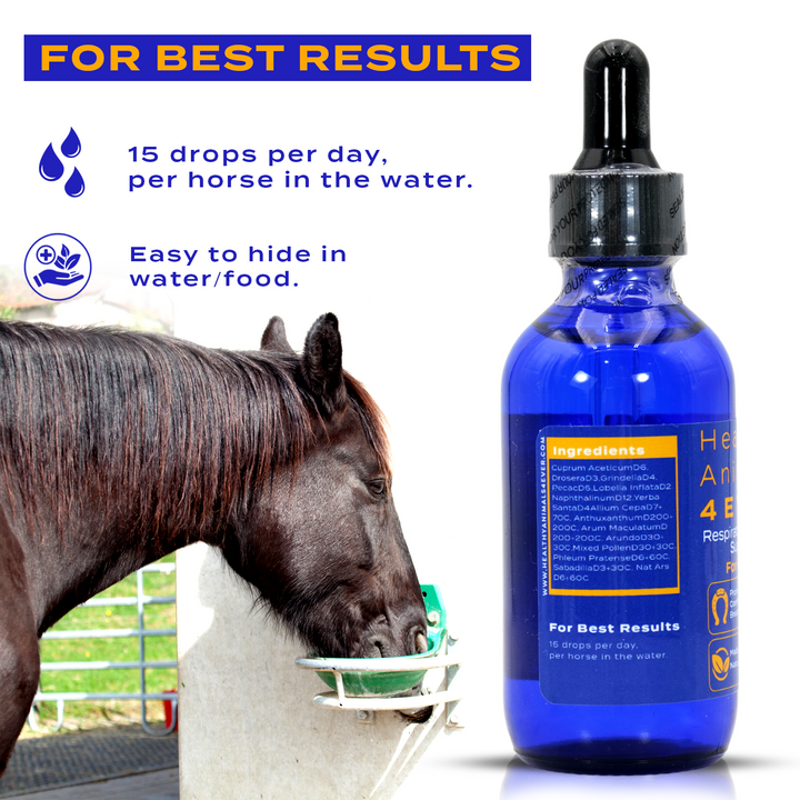 HORSE RESPIRATORY ISSUES SUPPORT (Liquid)