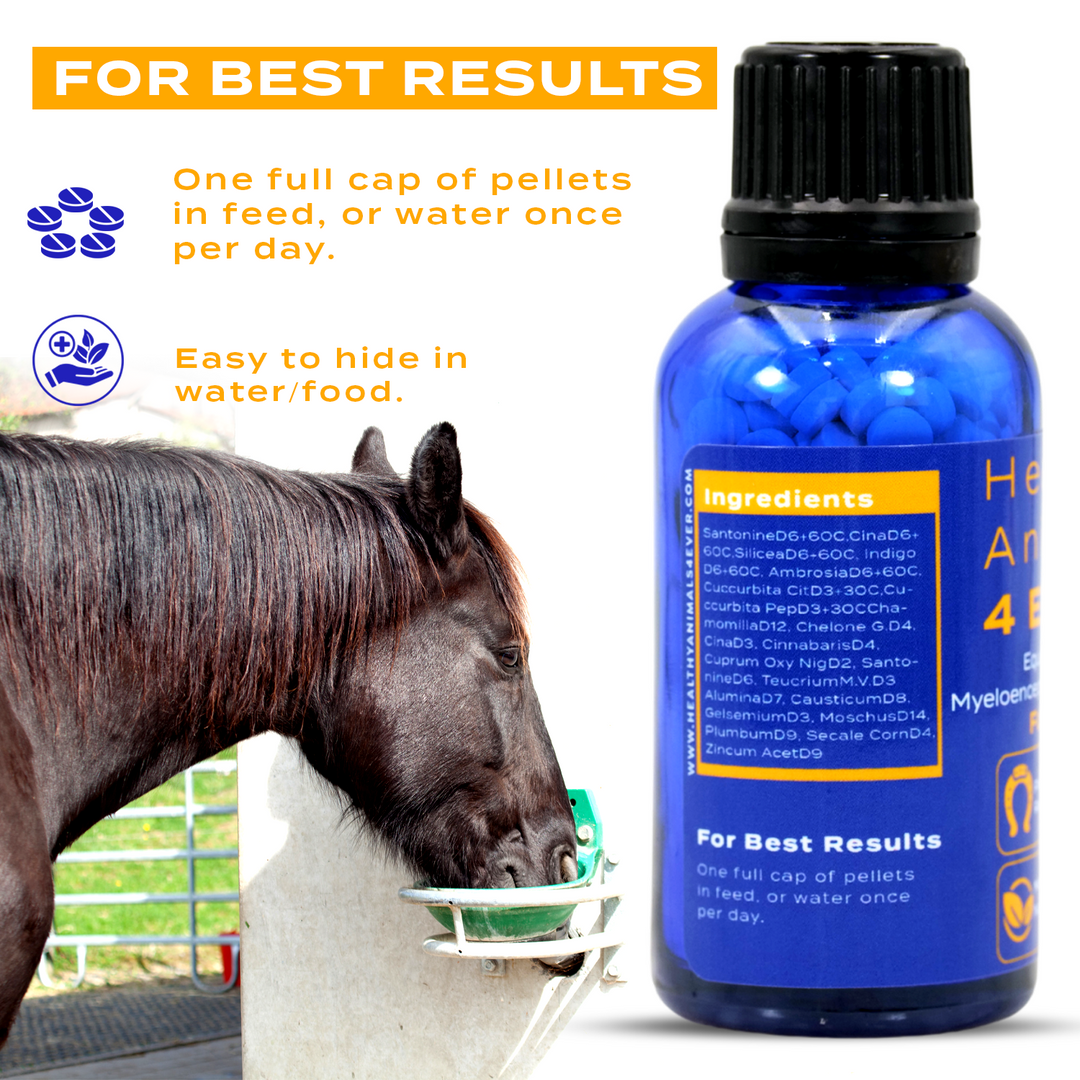 EQUINE PROTOZOAL MYELOENCEPHALITIS (EPM) SUPPORT  Triple Pack- Save 30%