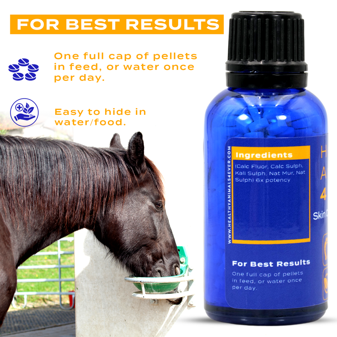 HORSE SKIN CONDITIONS SUPPORT Triple Pack- Save 30%