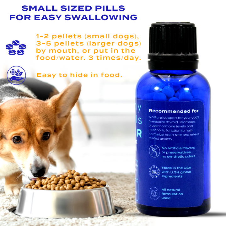 Natural Hyperthyroidism Support Formula for Dogs, 300 Pellets,   Six Pack- Save 50%