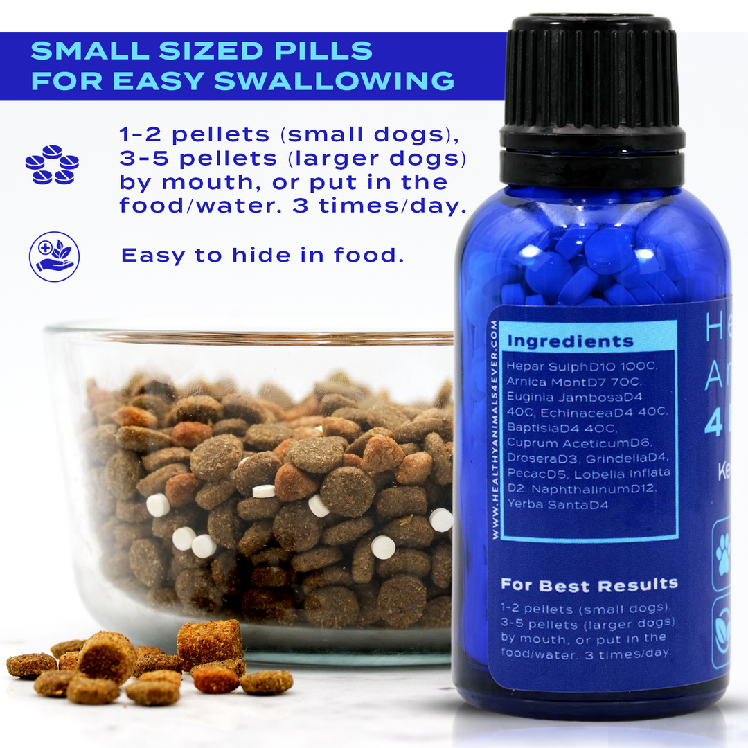 Kennel Cough Remedy