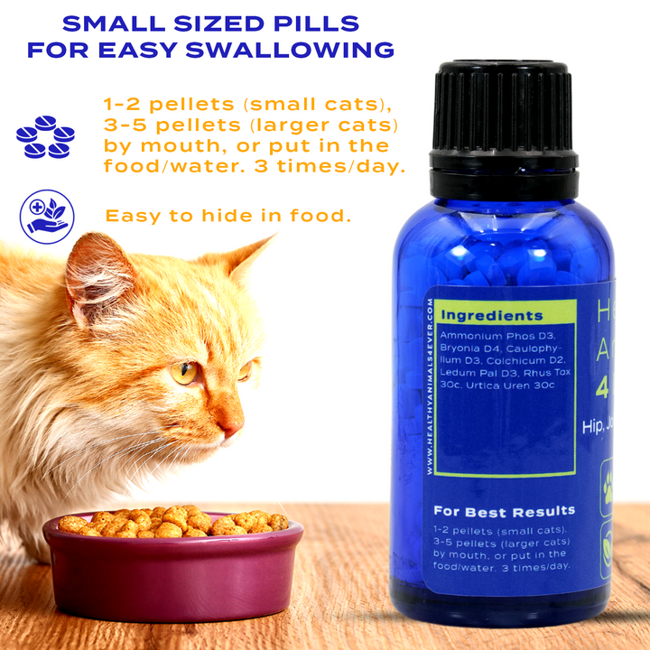 Hip, Joint and Back Pain Relief - Cats