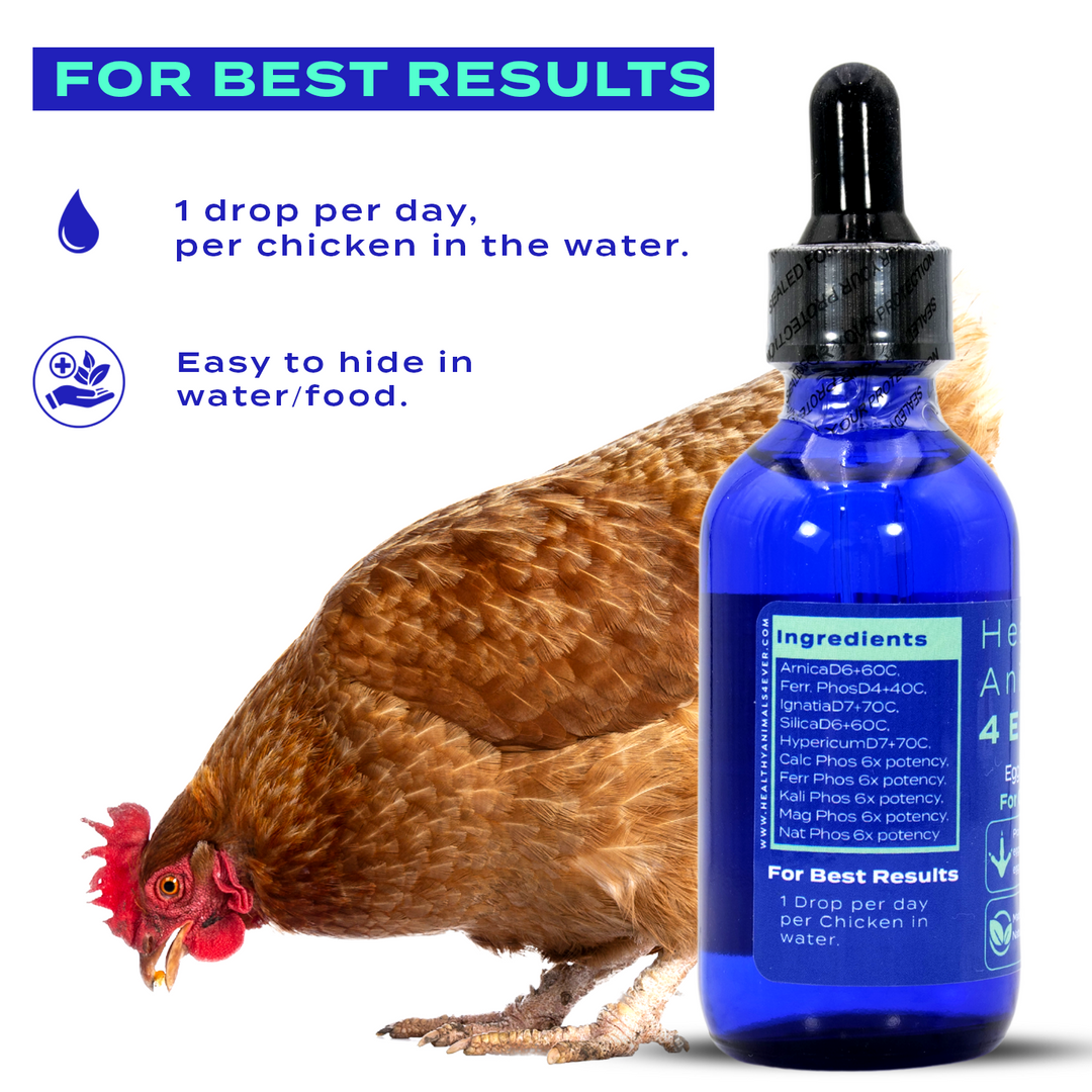 HEALTHYANIMALS4EVER ALL-NATURAL CHICKEN EGG BOOSTER (Liquid)