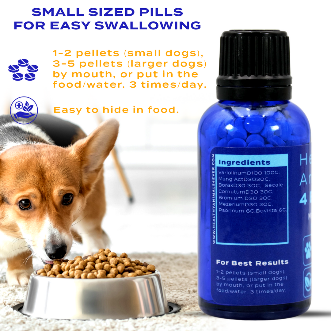 Best food for dog hair loss clearance