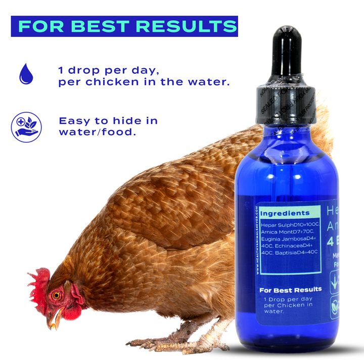 HEALTHYANIMALS4EVER ALL-NATURAL CHICKEN IMMUNITY SUPPORT FOR MAREK’S DISEASE (Liquid) Six Pack- Save 50%