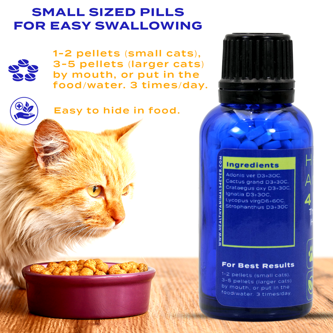 Natural Hyperthyroidism Support Formula for Cats,  Triple Pack- Save 30%