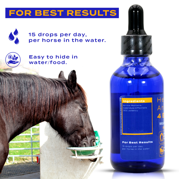 HORSE WOUNDS SUPPORT(Liquid)