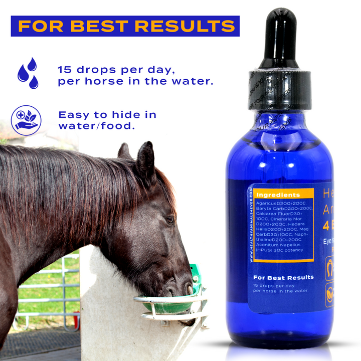 HORSE EYE ISSUES SUPPORT FOR HORSE (Liquid)