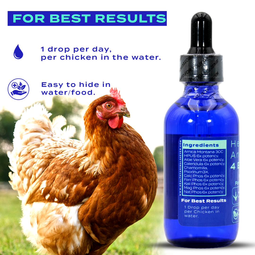 HEALTHYANIMALS4EVER ALL-NATURAL CHICKEN INJURY SUPPORT (Liquid)