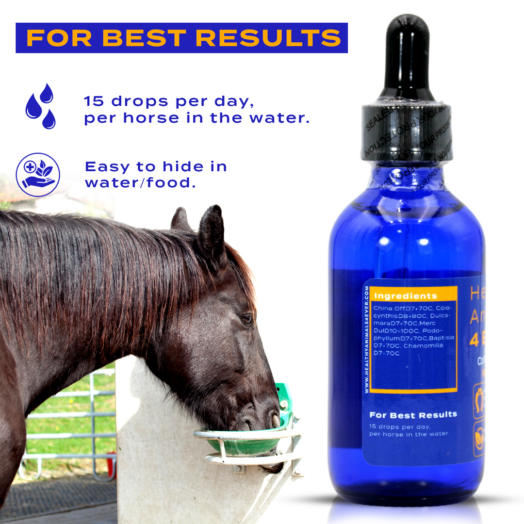 HORSE COLITIS SUPPORT (Liquid)