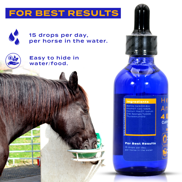 HORSE CUSHING DISEASE SUPPORT (Liquid)