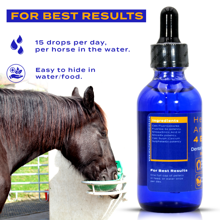 Horse Dental Issues Support (Liquid)