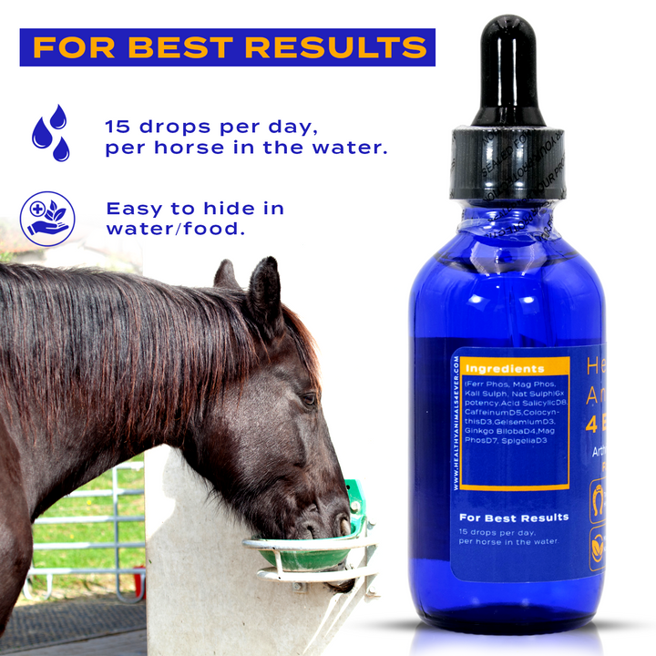 HORSE ARTHRITIS SUPPORT(Liquid)