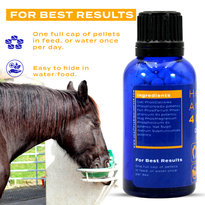 HORSE COLIC SUPPORT Triple Pack- Save 30%