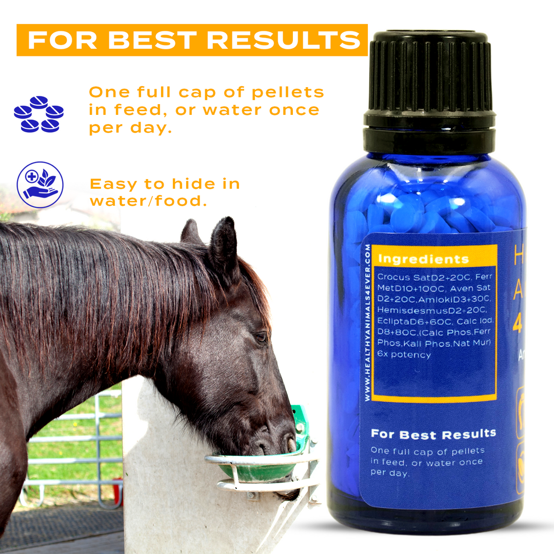 HORSE ANEMIA SUPPORT Triple Pack- Save 30%