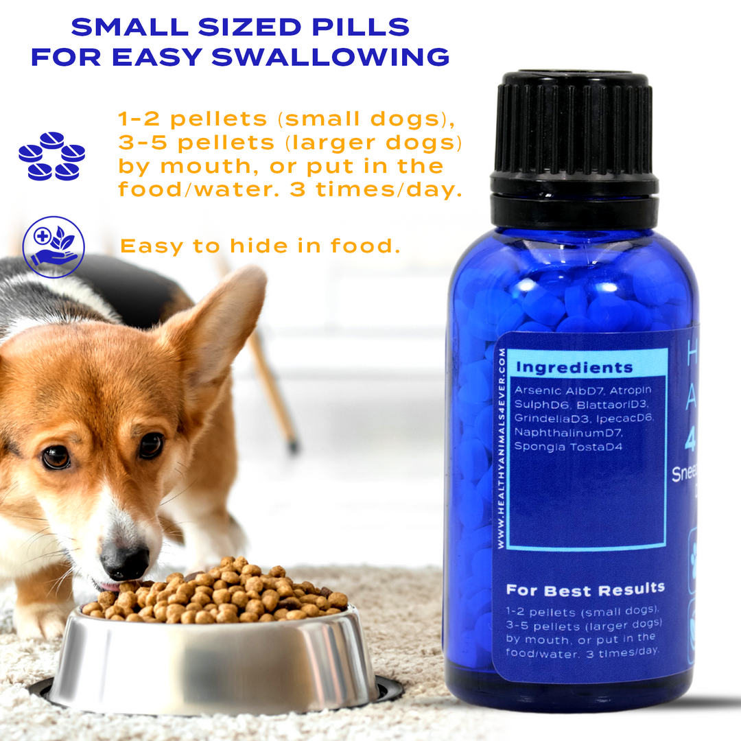 Sneezing and Wheezing Due to Allergy Formula for Dogs, Triple Pack- Save 30%