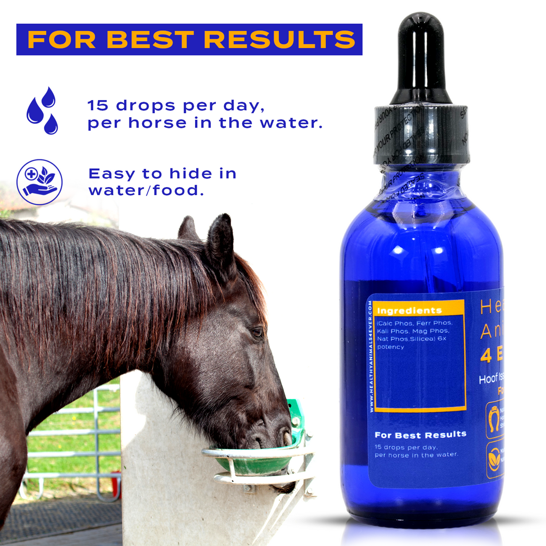 HORSE HOOF ISSUES SUPPORT (Liquid)