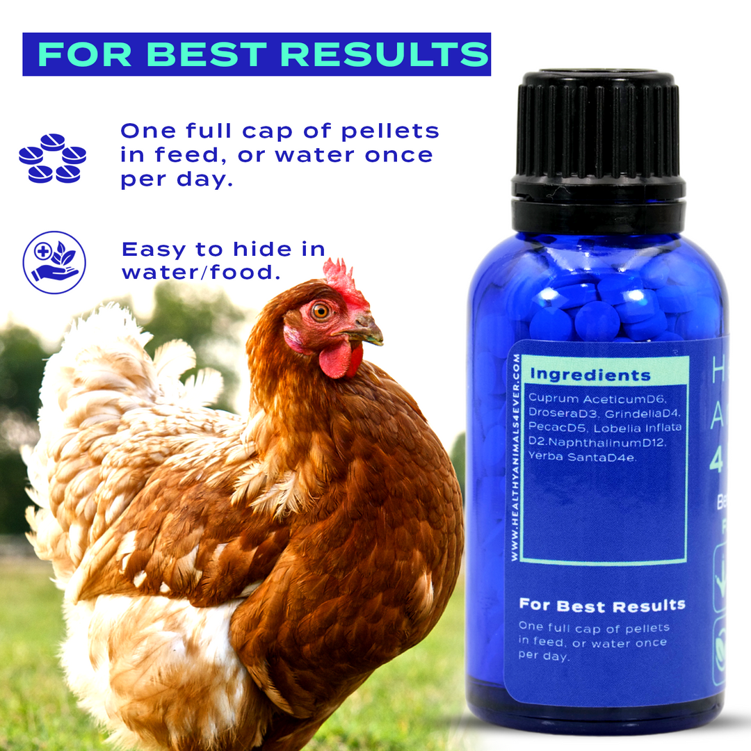 HEALTHYANIMALS4EVER ALL-NATURAL CHICKEN RESPIRATORY SUPPORT Six Pack- Save 50%