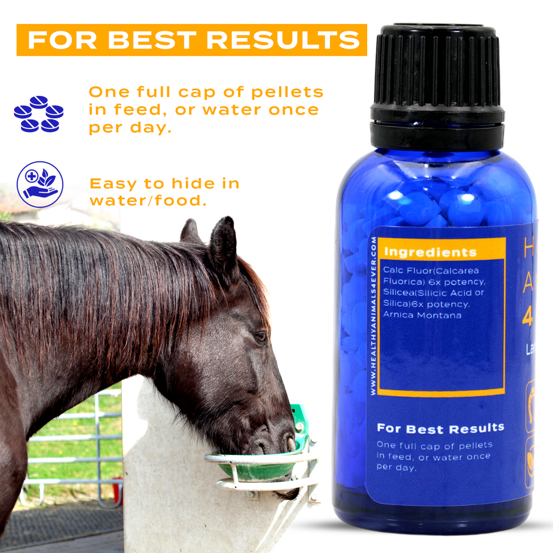 HORSE LAMINITIS SUPPORT  Triple Pack- Save 30%