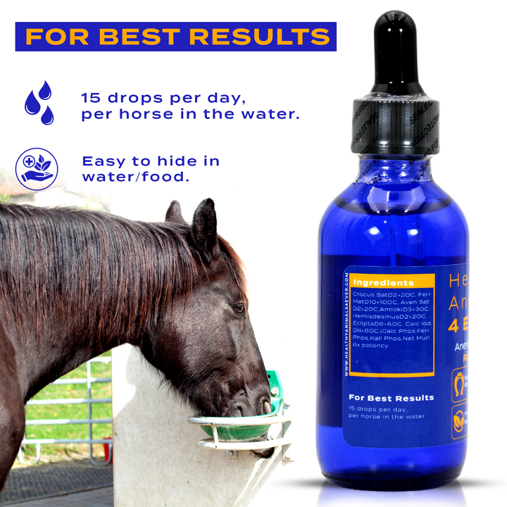 HORSE ANEMIA SUPPORT (Liquid)