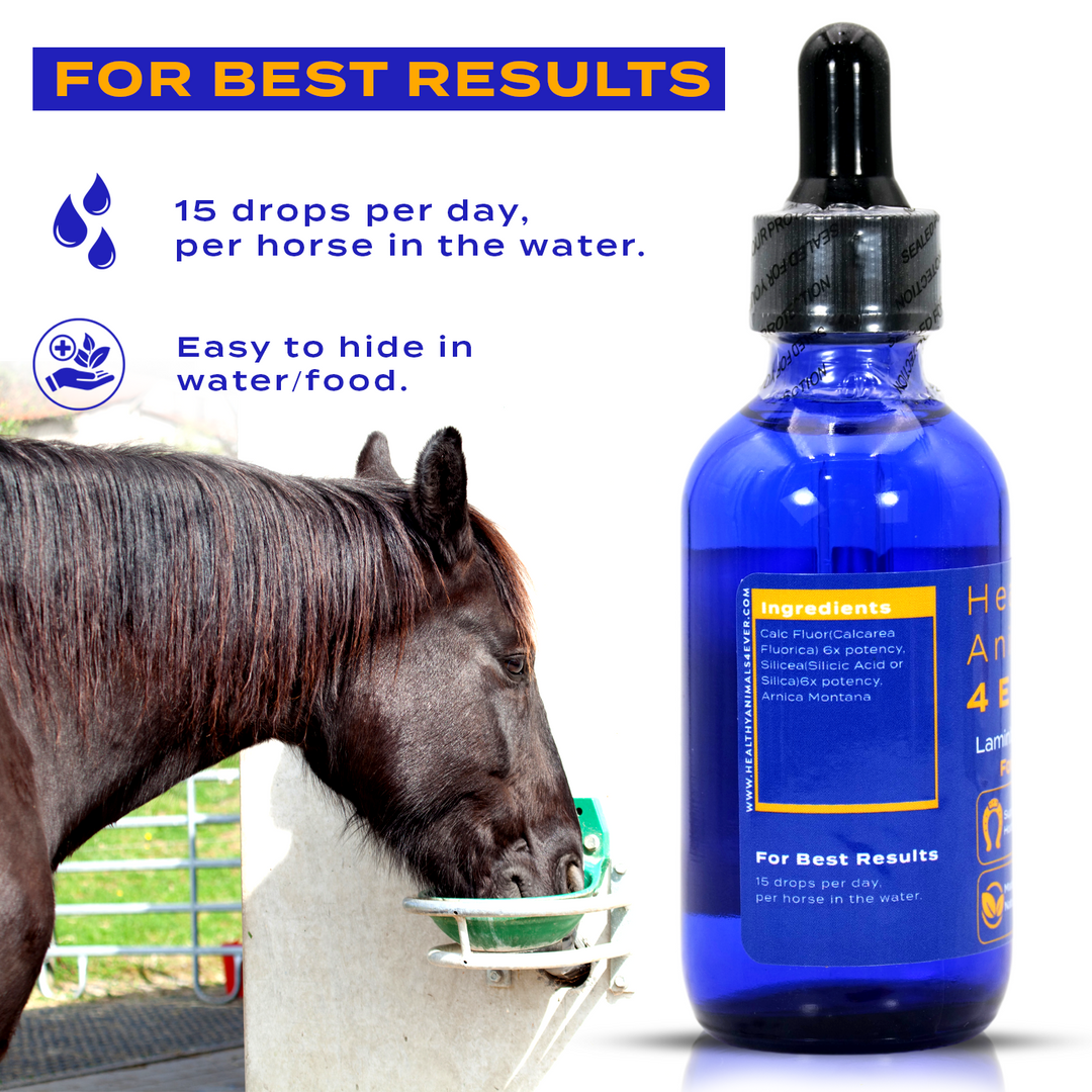 HORSE LAMINITIS SUPPORT (Liquid)